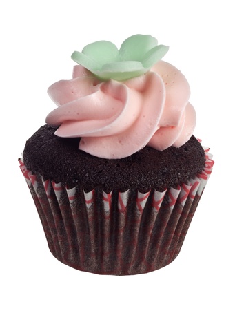 Mini cupcake isolated on white backgroundの写真素材