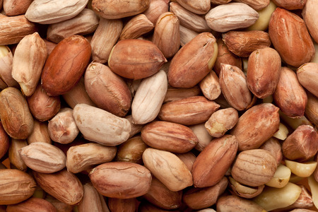 Closeup of lots of deshelled peanuts