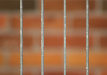   Looking through the gaps of a metal fence.