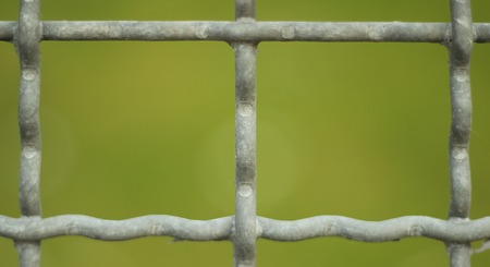   Looking through the gaps of a metal fence.