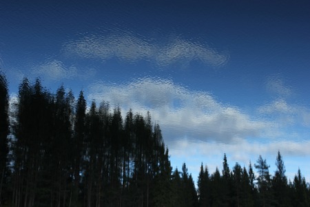 Reflections of the forest on a Swedish lake in Värmland.の写真素材