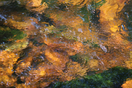 Look in the water of a stony river.の写真素材