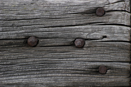 Wooden lath with rusty nails.の写真素材