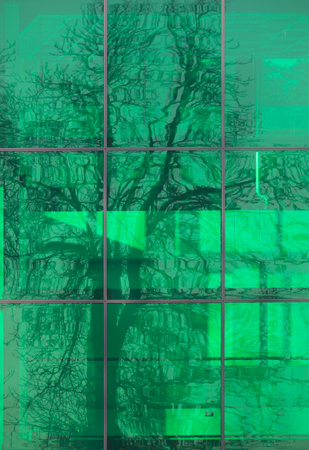 Green glass front of a modern building.の写真素材