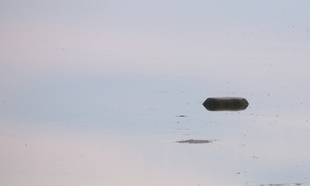 Stone lying in reflecting water.の写真素材