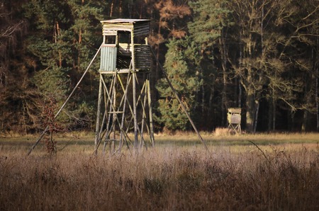 Two high seat in front of autumnal forest in Mecklenburg-Vorpommern, Germany.の写真素材