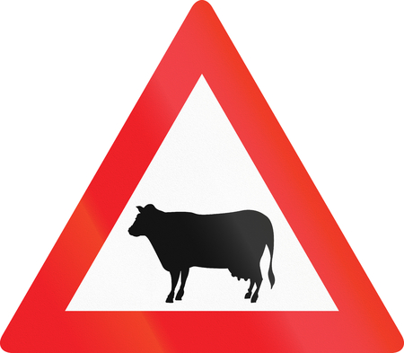 Austrian sign warning about cattle crossing or standing on the road.の写真素材