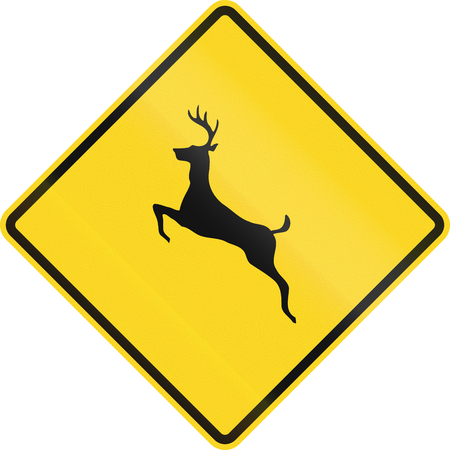 Canadian road warning sign - Deer crossing. This sign is used in Ontario.の写真素材
