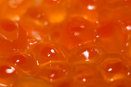 Macro shot of some fresh salmon roe.の写真素材