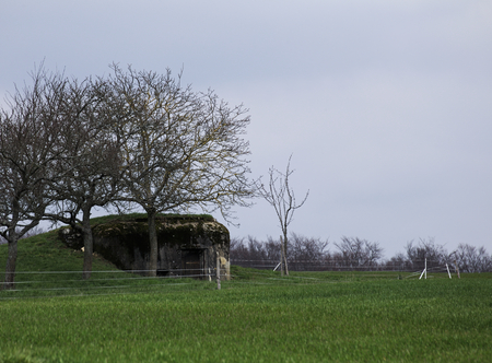 French bunker ruin near Langensoultzbach, Vosges, France. It was built before WWII as part of the Maginot Line.の写真素材