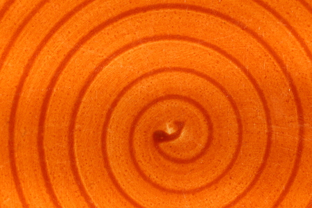 Orange varnish with spiral shape and saturated colors.の写真素材