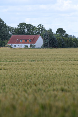 View over field to the historic farm Eichenhof (lit. oak farm) at Jager, Mecklenburg-Vorpommern, Germany.のeditorial素材