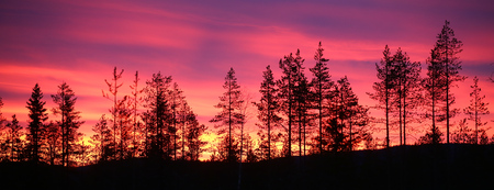 Colorful sunset over Lapland in northern Sweden.の写真素材