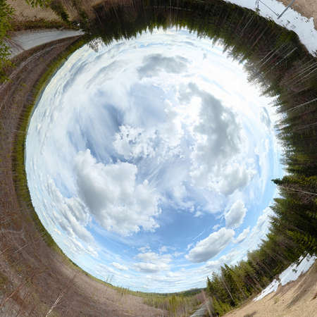Rabbit hole panorama of forest and clearing in Vasterbotten, Sweden.の写真素材