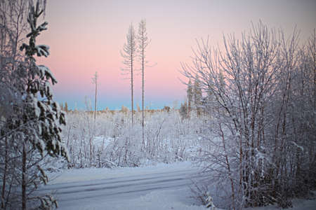 Pastel-colored sky over winterly road in Northern Sweden.の写真素材