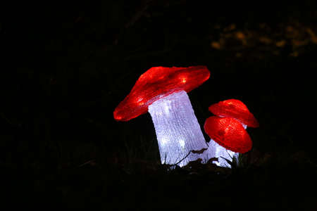Decorative glowing agarics on a lawn at night.の写真素材