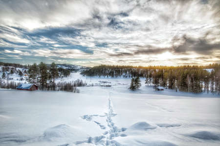 Path through the snow in Swedish Lapland.の写真素材