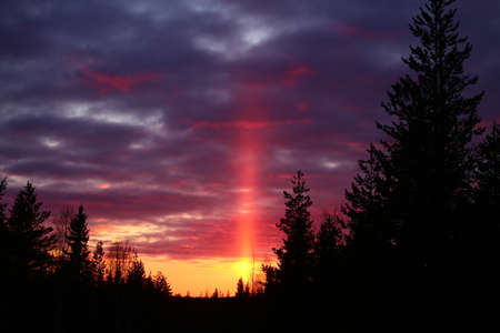 Sun pillar and evening sky with forest silhouette.の写真素材