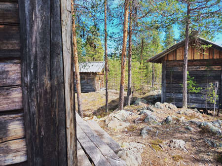 Group of log cabins in the Swedish forest.の写真素材
