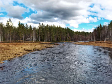 View over the small stream Petikaan in Swedish Lapland.