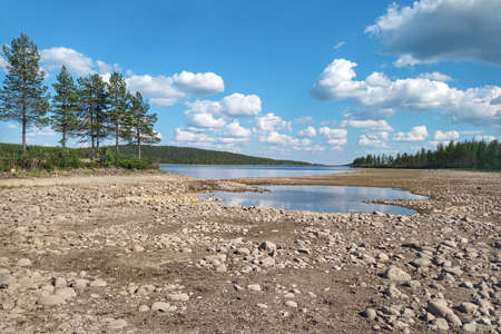 Dry part of river bed at Skellefte River in Sweden.の写真素材