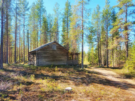 An old log cabin in the Swedish forest.の写真素材