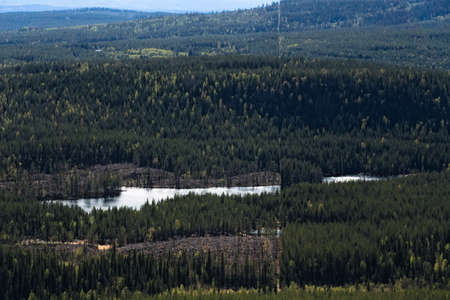Swedish forest and lake divided by a straight trail.の写真素材
