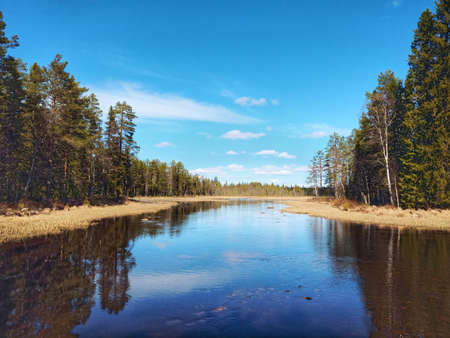 View over a small lake in Swedish Lapland.の写真素材