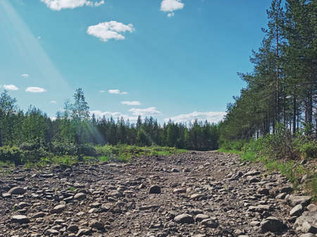 Dry river bed at Skellefte River in Sweden.の写真素材