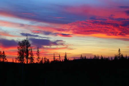 Colorful sunset clouds in front of forest silhouette.の写真素材