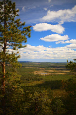 View from Mount Vithatten in Swedish Lapland.の写真素材