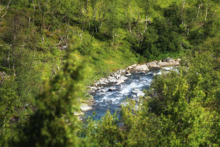 Rapids and forest in Swedish Lapland near Abisko.の写真素材