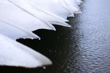 Edge of a thawing glacier at a lake.の写真素材