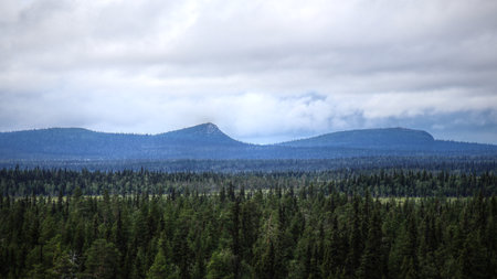 Mountainscape in Muddus National Park in Sweden.の写真素材