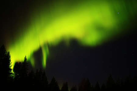 Northern lights behind a fest silhouette in lapland.の写真素材