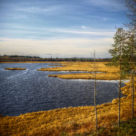 View over Vajsjoen nature reserve in northern Sweden.の写真素材