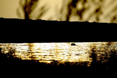 Conceptual high contrast shot of row of houses at the Baltic Sea.の写真素材