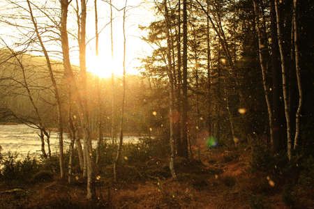Backlit shot of snow and sunset in Sweden.の写真素材