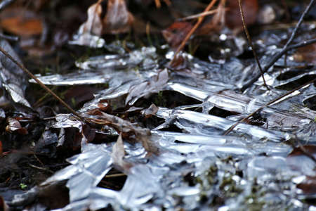 Close up of frozen ice structures in the beginning of winter.