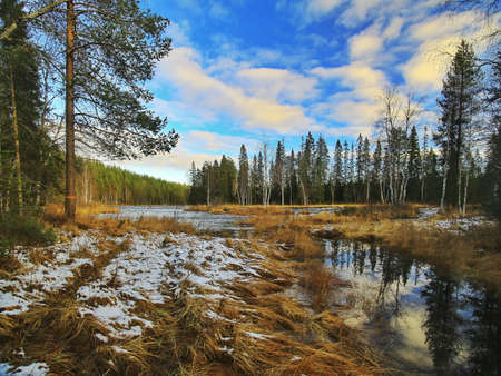 Mala riverside in Mala-Storforsens nature reserve in Sweden.の写真素材