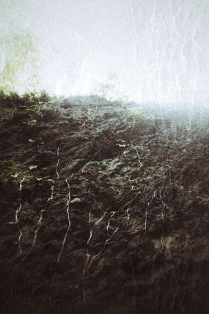 Grungy shot of ivy (Hedera helix), growing on a rock cliff.の写真素材