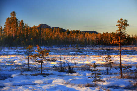 View over nature reserve Vithattsmyrarna and Mount Vithatten in northern Sweden.の写真素材