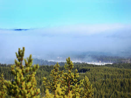 View on Swedish winter landscape in sun and fog.の写真素材