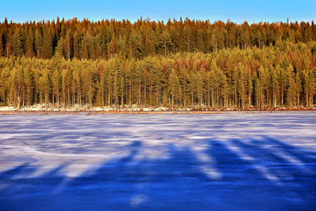 Shadows, ice, forest and sky in Swedish winter.の写真素材
