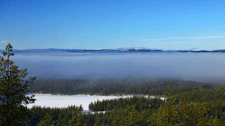 View on Swedish winter landscape in fog.の写真素材