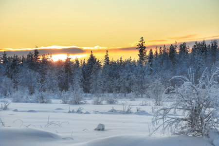 Sunrise over a beautiful frozen winter landscape.の写真素材