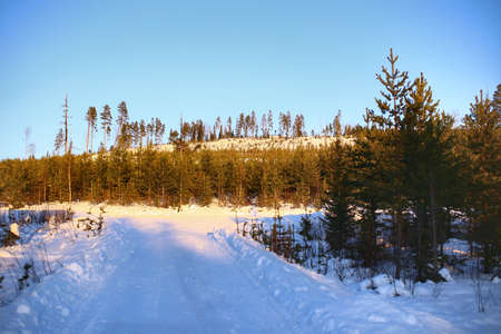 Winter sunlight and a small mountain in Swedish Lapland.