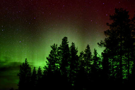 Green and red aurora borealis and clouds behind tree silhouettes.の写真素材