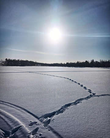 Backlit shot of frozen lake with tracks.の写真素材