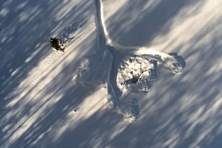 Conceptual aerial shot of tracks in the snow with diagonal shadows.の写真素材